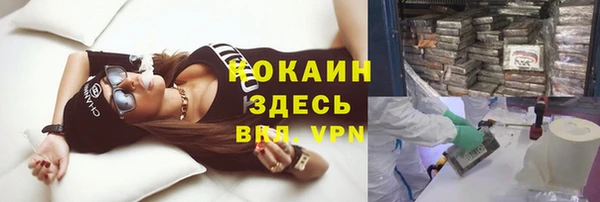 стафф Краснотурьинск