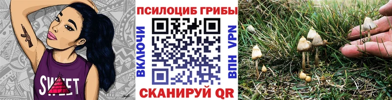 Купить закладки  Белоусово  Галлюциногенные грибы Magic Shrooms 
